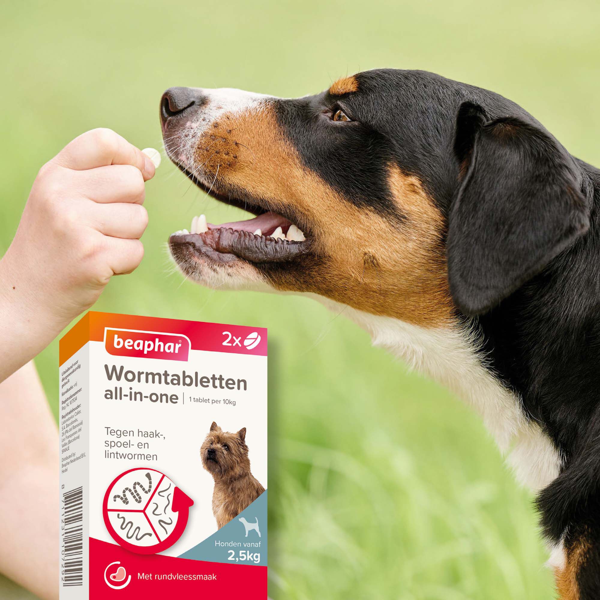 Beaphar All-in-one Tabletten - Ontwormen Hond - 2 Stuks - S