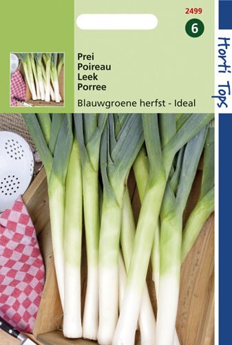 Hortitops Prei Allium porrum L. Blauwgroene Herfst Ideal - Prei