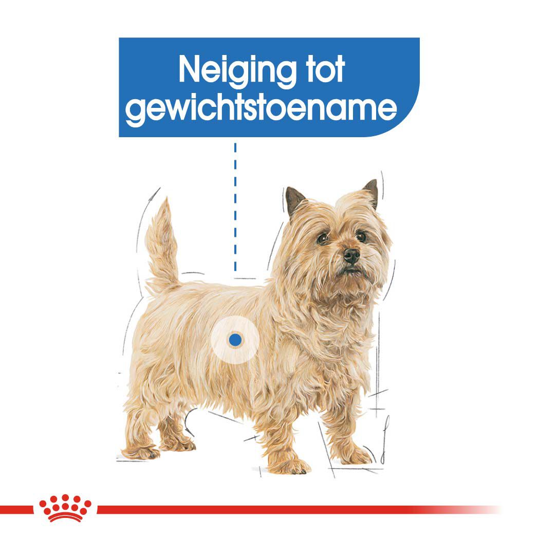 Royal Canin Light Weight Mini - Hondenvoer - 1 Kilogram - gevogelte