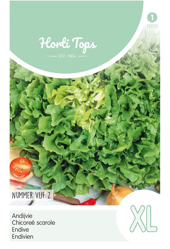 Hortitops Andijvie Cichorium endivia Nummer Vijf 2 - Groentezaden