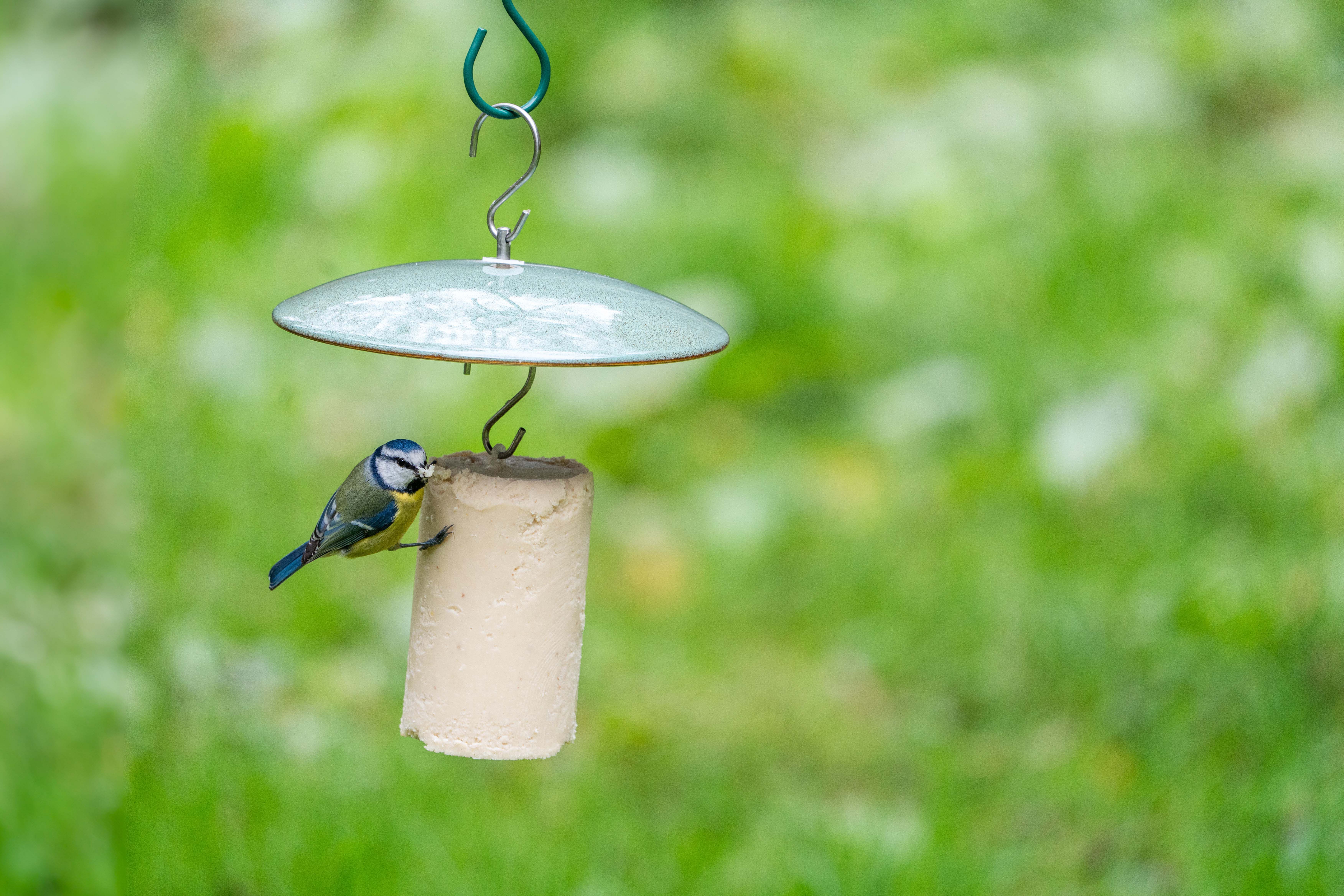 CJ Wildlife Vierno Pindacake hanger - Tuinvogelvoer - 5.6x20.1x20.1 cm