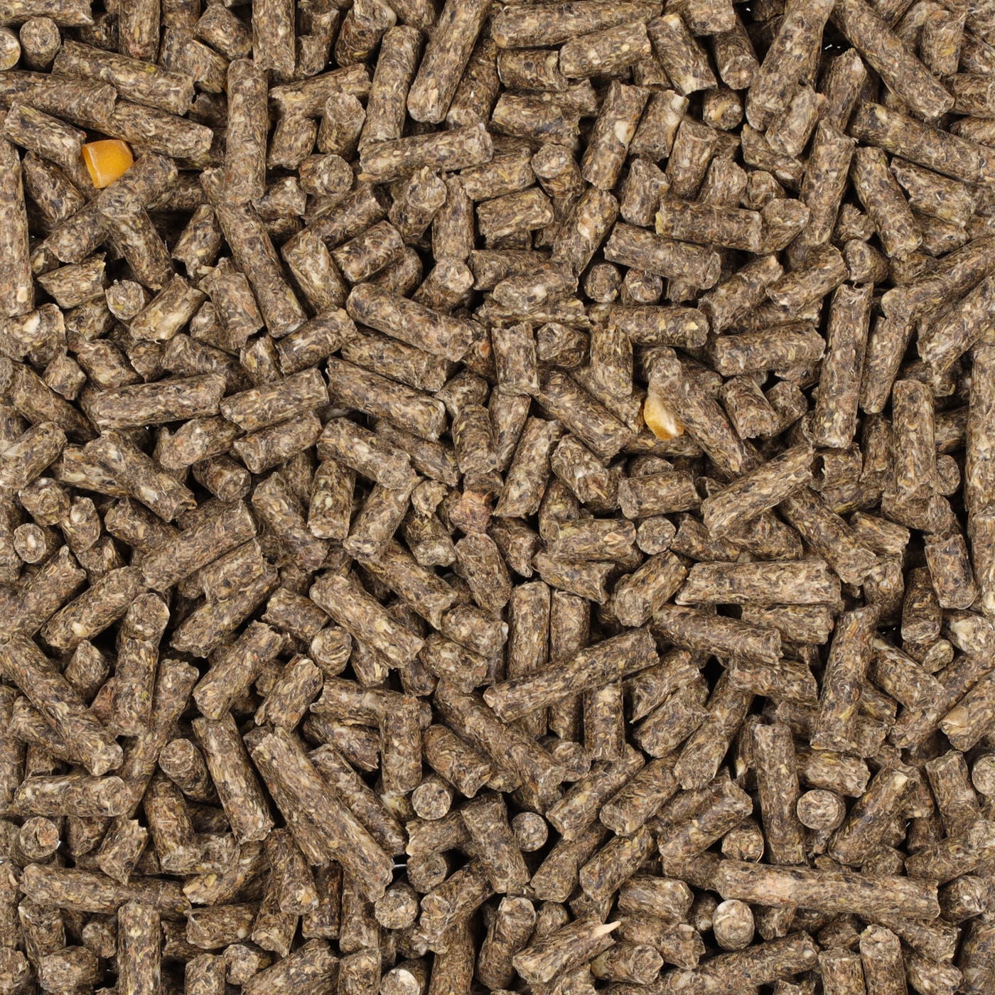 Profijt Voedsterkorrel - Konijnenvoer - 20 Kilogram