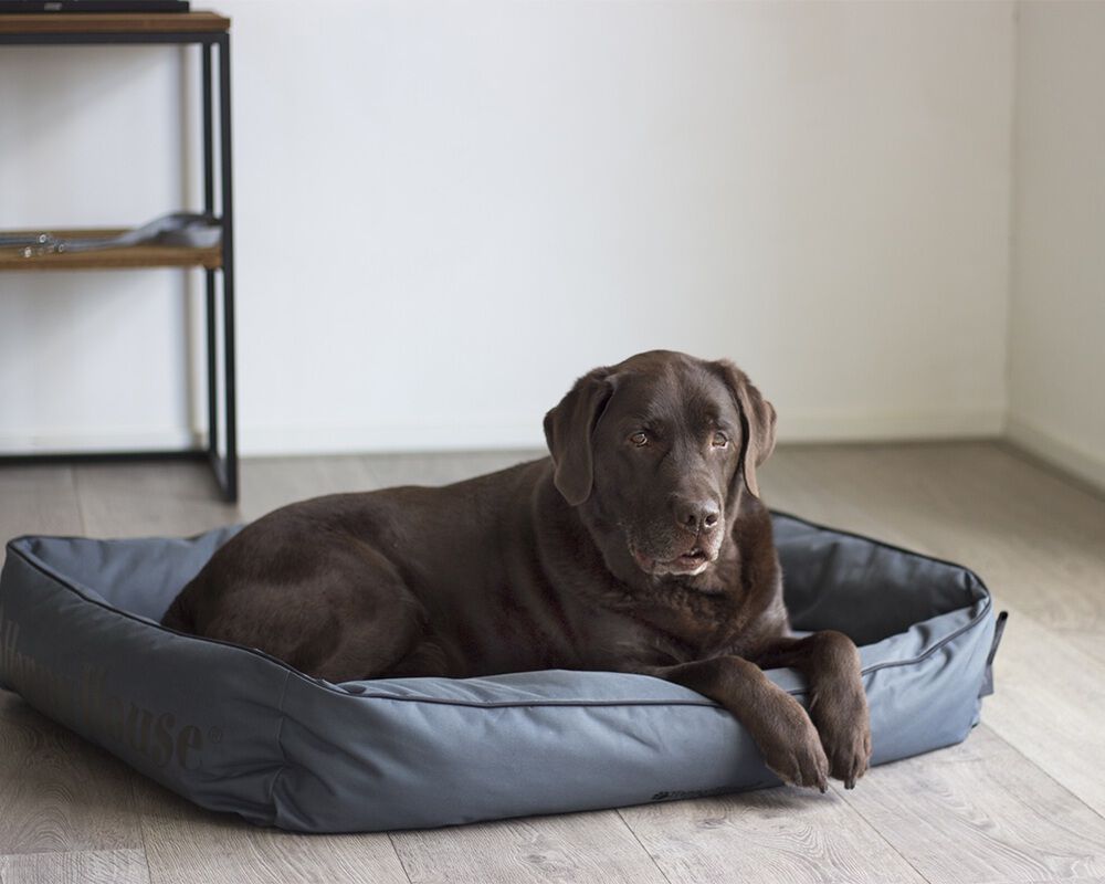 Happy-House Strong - Hondenmand - Grijs - 12x75x60 cm - M