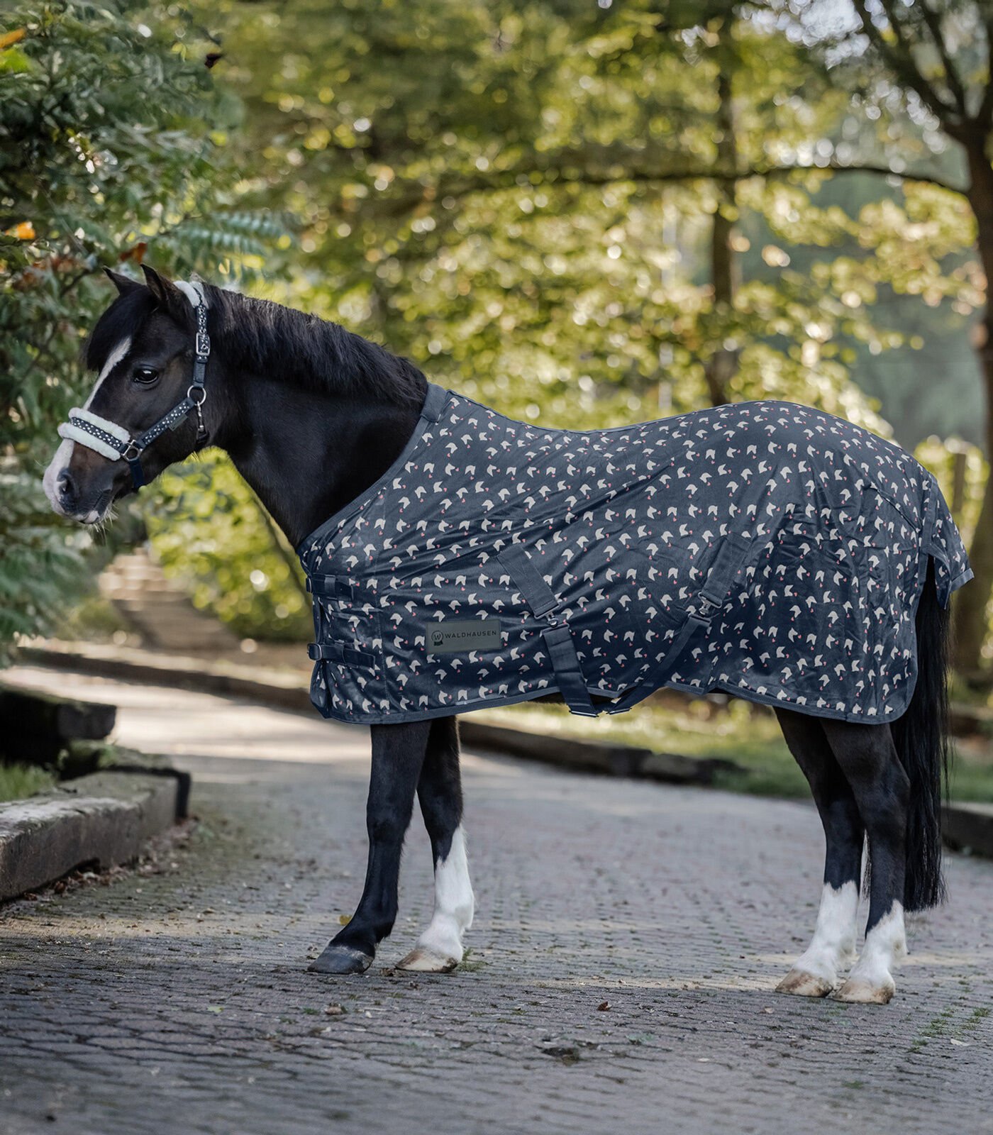 Waldhausen Lucky - Vliegendeken Paard
