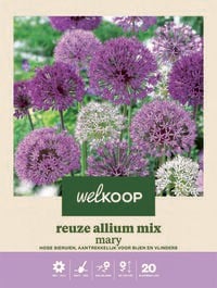 Welkoop Reuze Allium mix Mary - Bloembollen