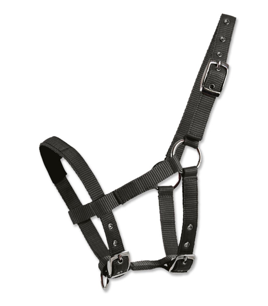 Waldhausen Mini - Halster - Zwart - Mini shetlander Waldhausen Mini - Halster - Zwart - Mini shetlander