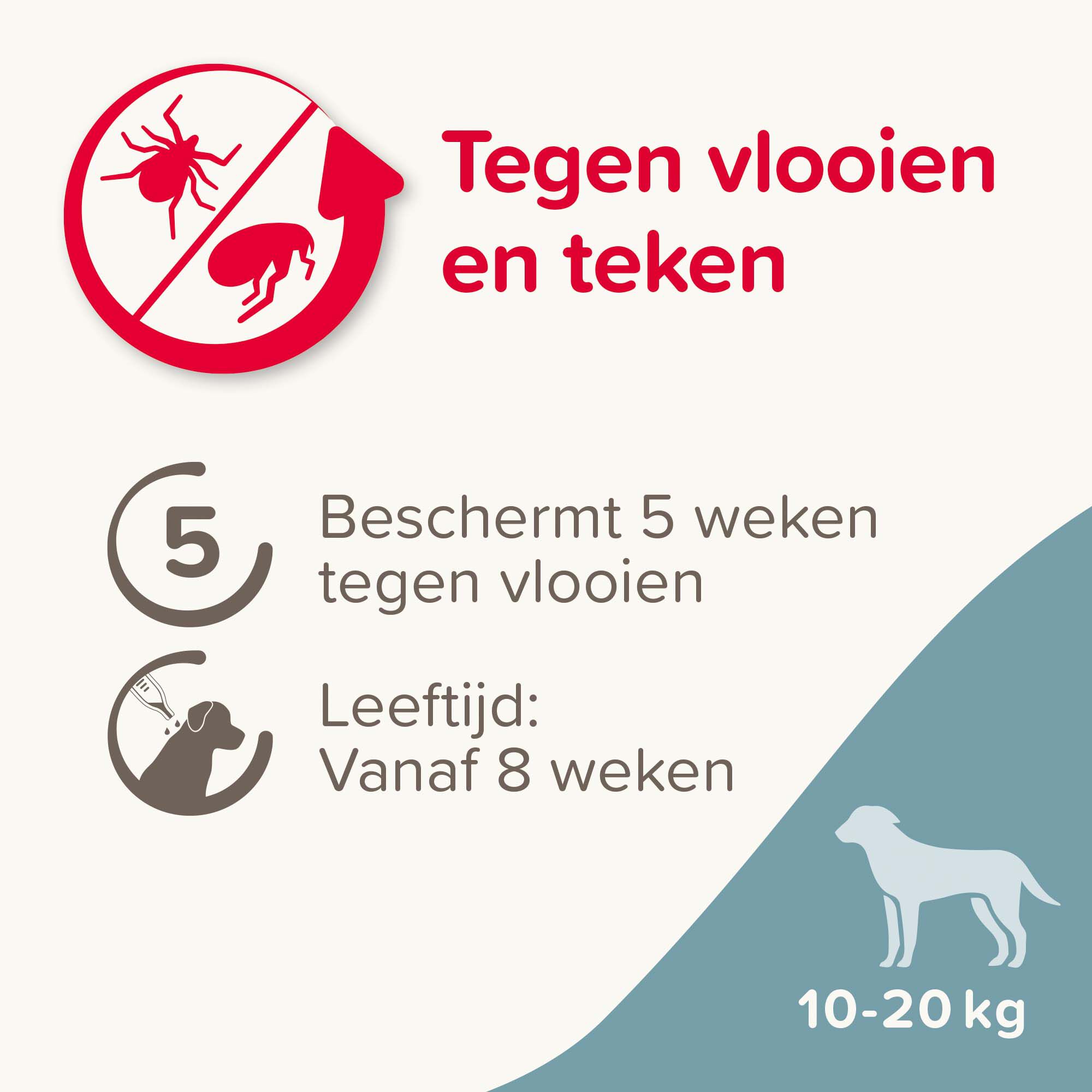 Beaphar Fiprotec Pipet - Anti Vlooien en teken - Hond - 4 Stuks - M