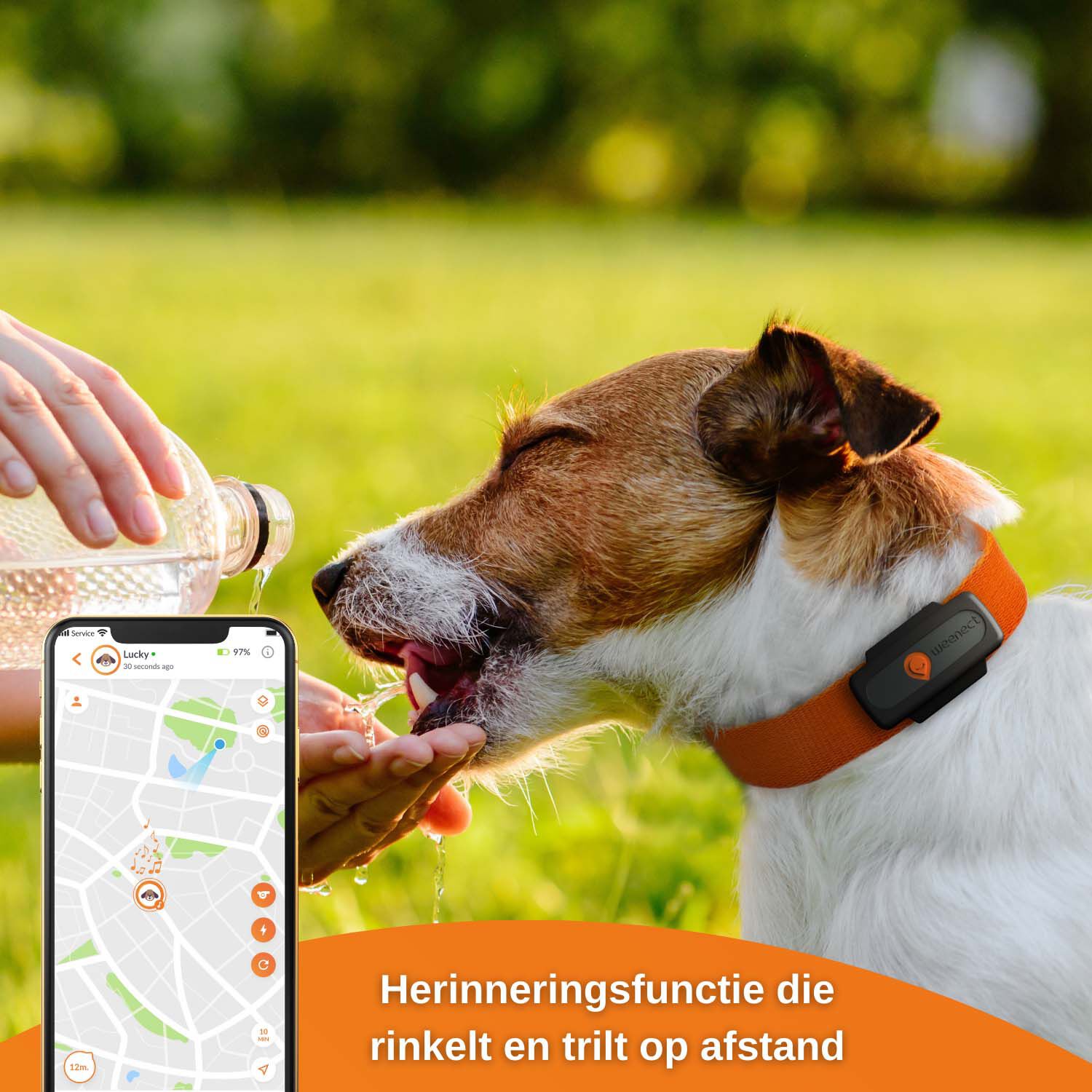 Weenect - GPS tracker Hond - zwart - XS