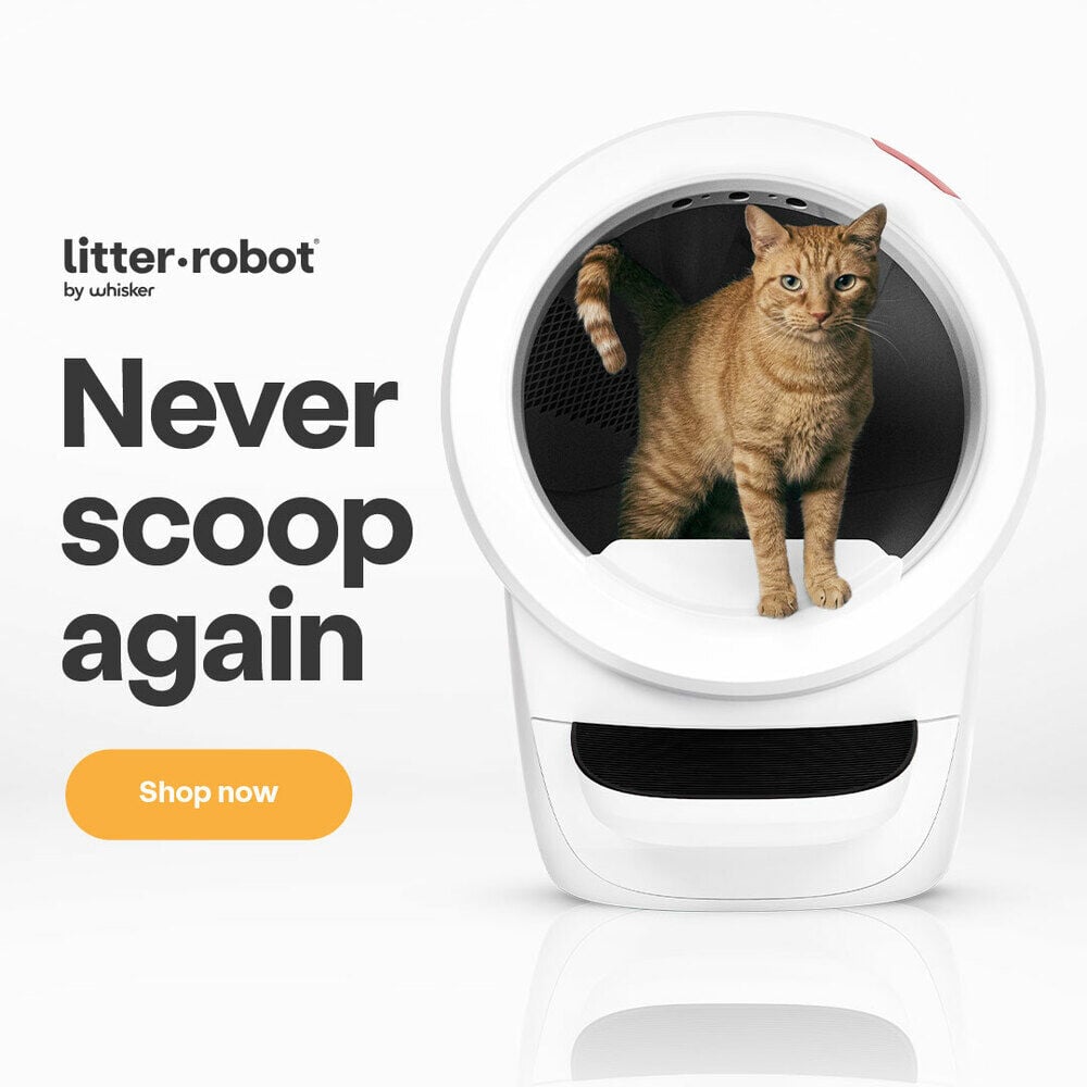 Whisker Litter Robot 4 - Automatische kattenbak - Wit - 75x56x1 cm