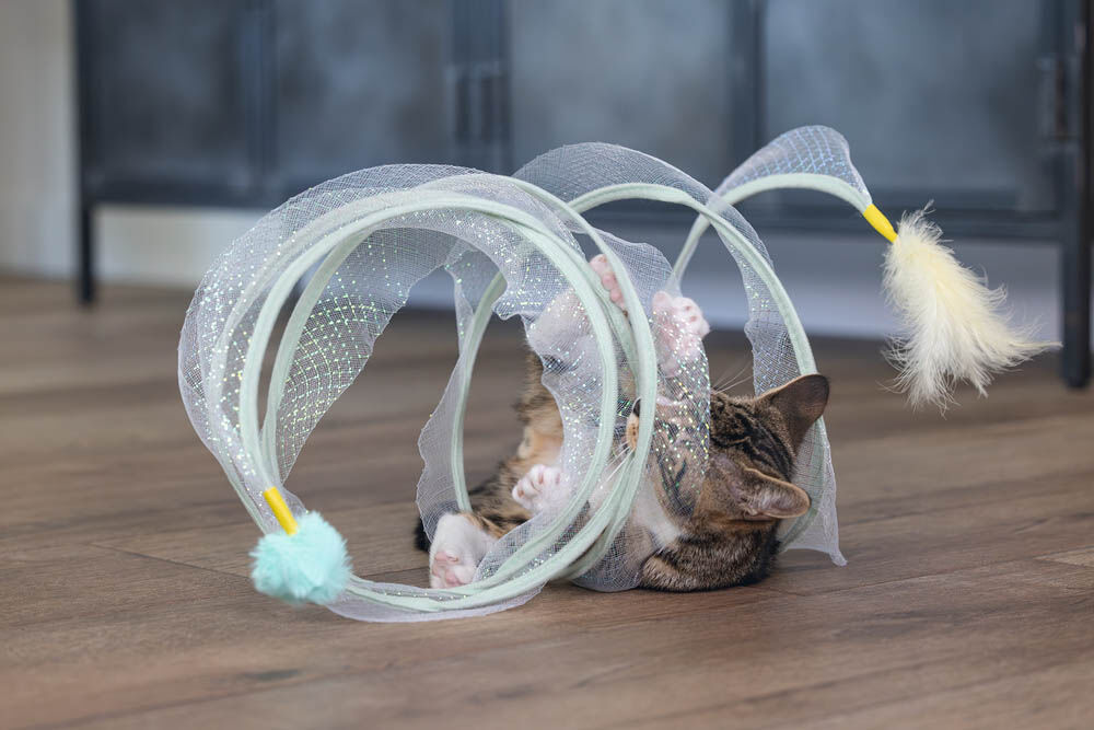 Beeztees Gabi - Katten Speelspiraal - Multi