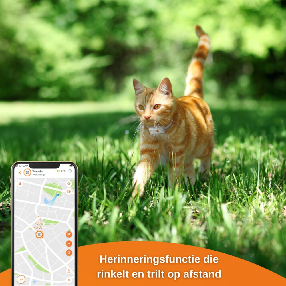 Weenect XS - GPS Tracker Kat - Wit/Oranje