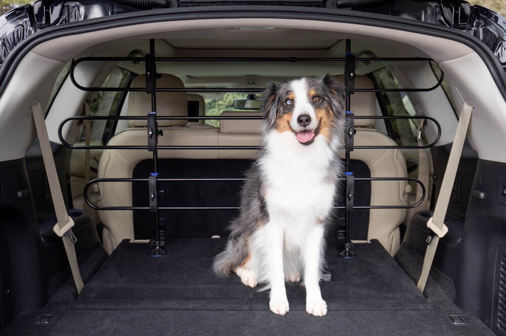 Petsafe Happy Ride - Autorek Hond - Zilver - zwart