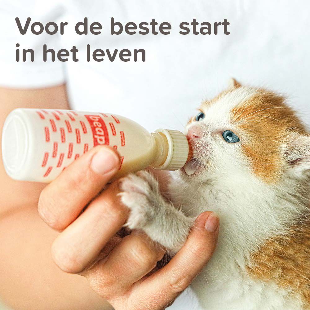 Beaphar - Voedingsset met Zuigfles