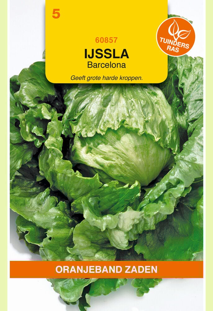 Oranjeband zaden Ijssla Barcelona - Groentezaden