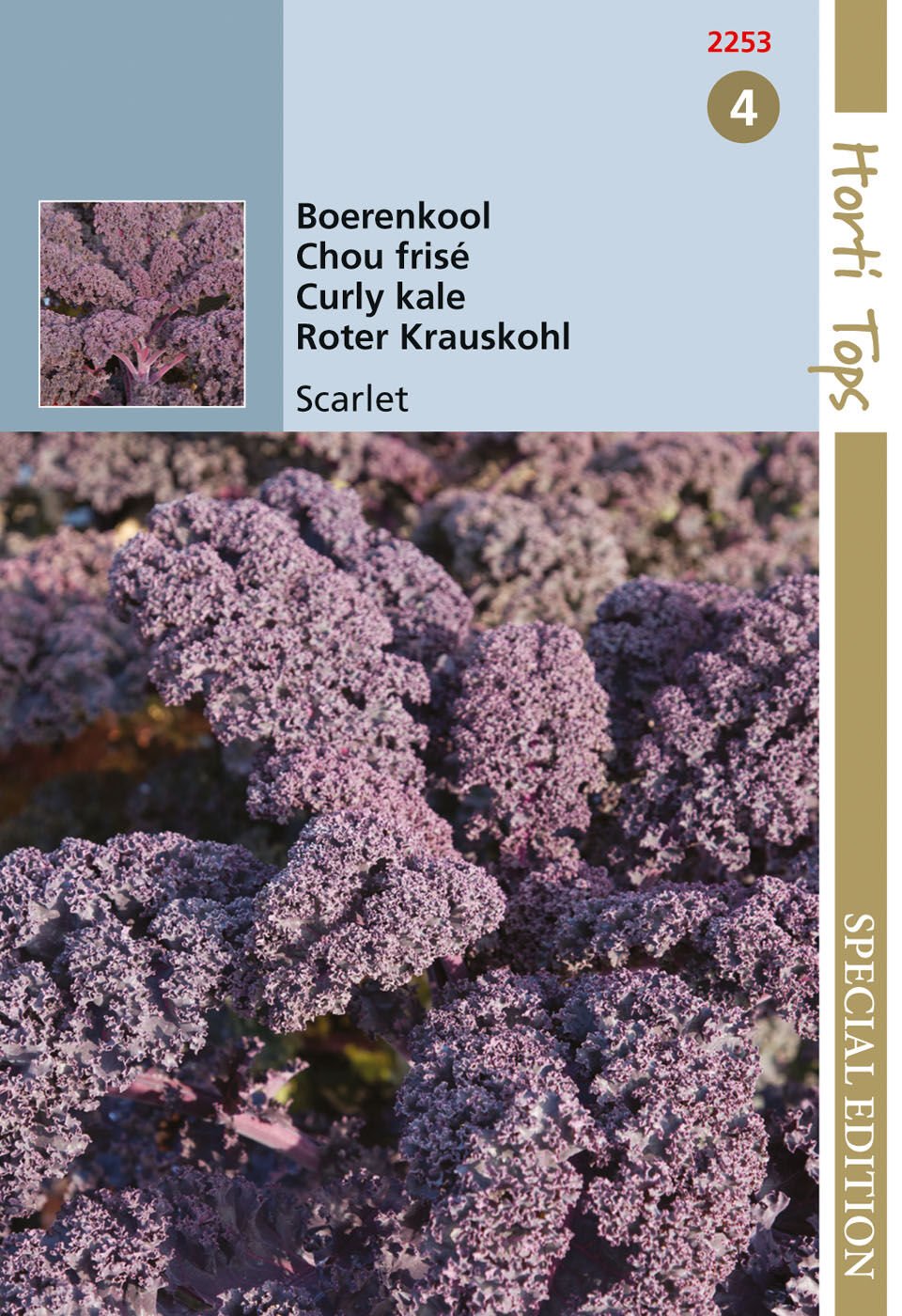 Hortitops Boerenkool Paars Scarlet Brassica oleracea - Groentezaden