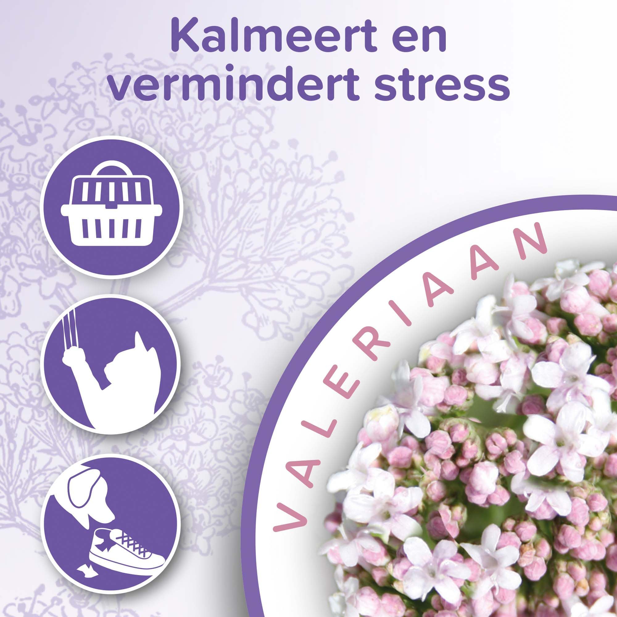 Beaphar No stress spray kat - Kalmeringsmiddel - 125 Milliliter