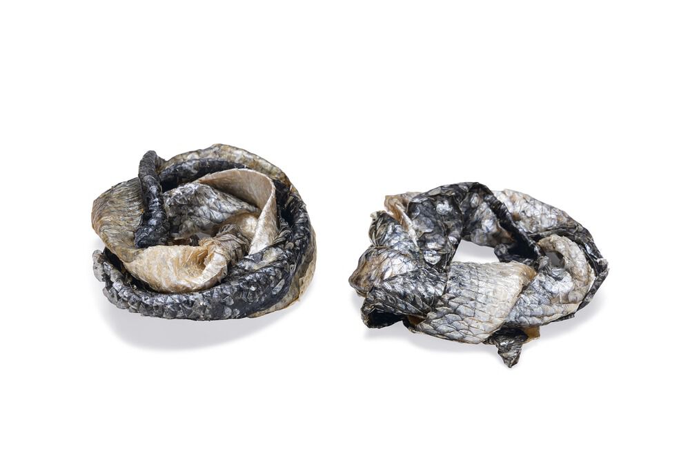 Beeztees Zalmhuid - Hondensnack - 75 Gram - zalm