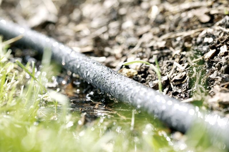 Rehau Druppelslangset - 50 m