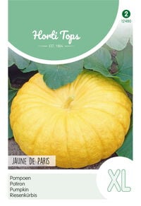Hortitops Pompoenen Cucurbita maxima Geelvlezige (Centenaars) - Kalebas/Pompoen