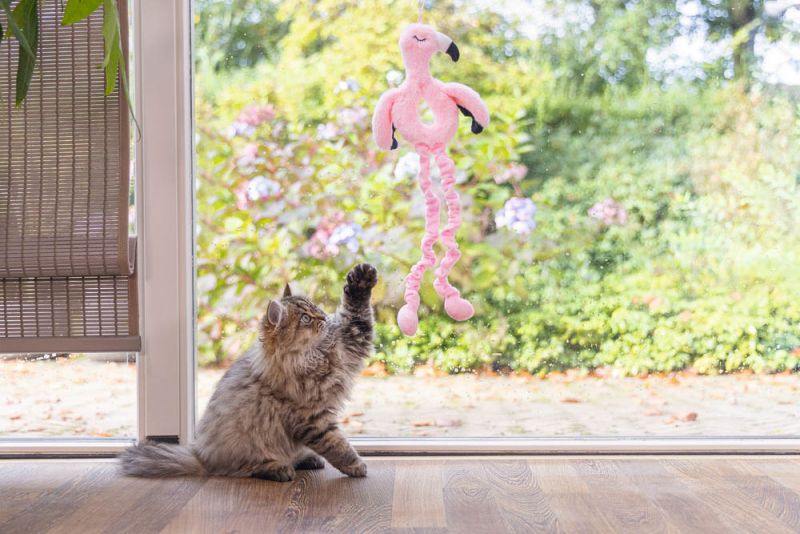 Beeztees Flamingo Cara - Kattenspeeltje - Roze