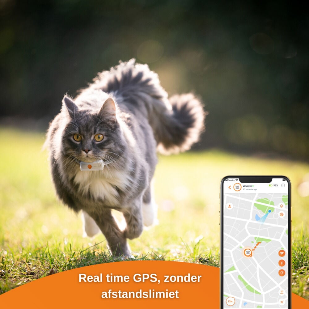 Weenect XS - GPS Tracker Kat - Wit/Oranje