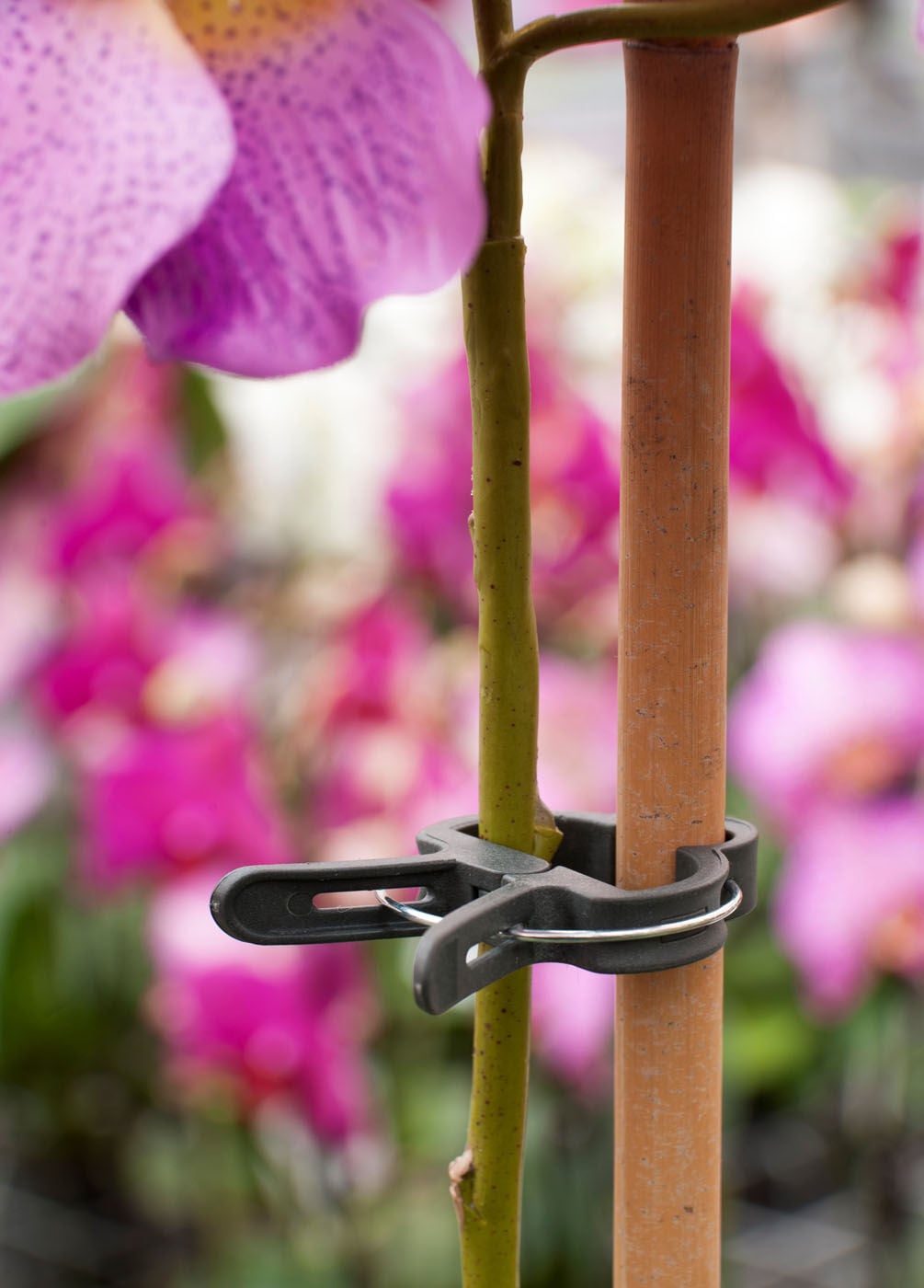 Nature Plantenclips 18mm - Klim- en Geleide Artikelen - 23x9.5x23.5 cm