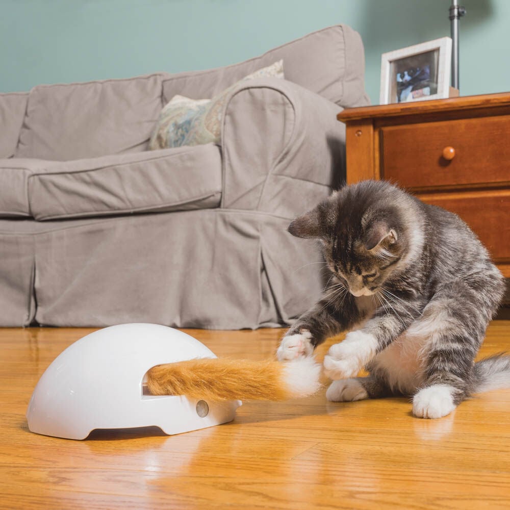 Petsafe Fox Tail - Elektrisch kattenspeelgoed