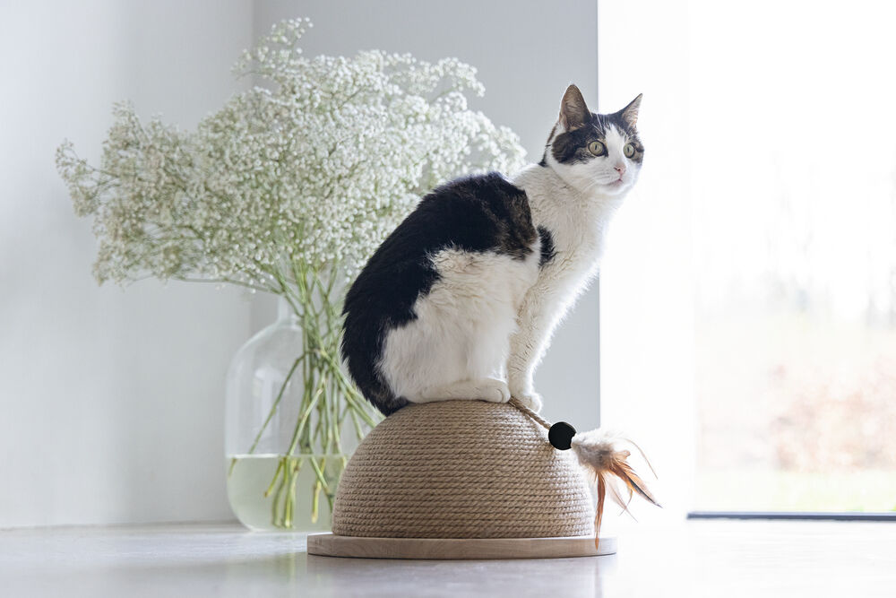 Designed by Lotte Vivi - Krabbol - Bruin - 1x34.5x1 cm