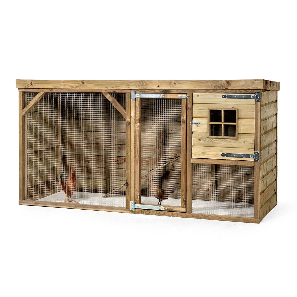 Glorenza  Daisy - Kippenhok