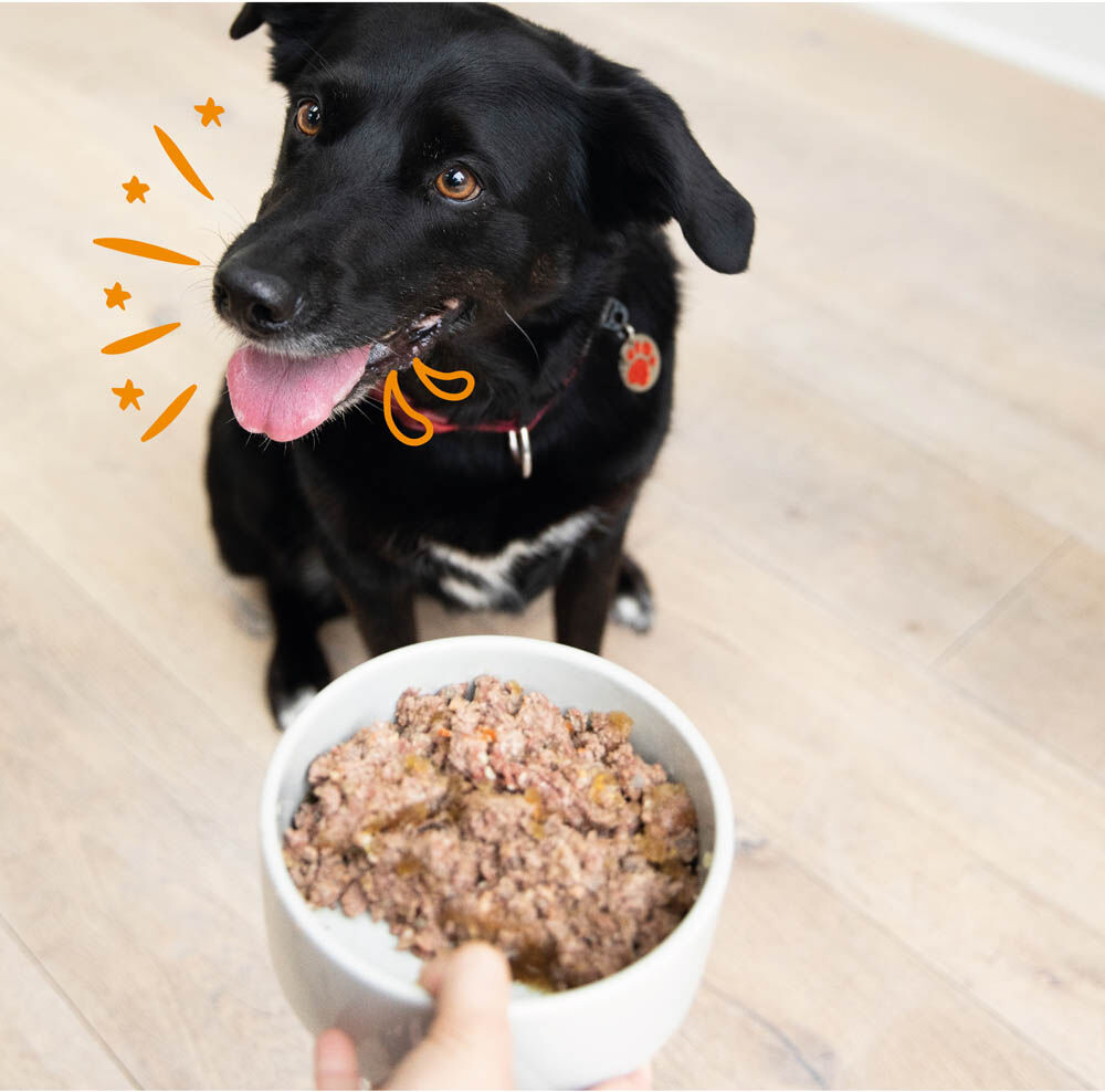 Edgard & Cooper Adult Multipack - Hondenvoer - 4x300 gram - 300 Gram - kip, lam