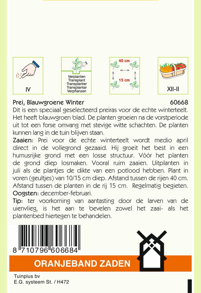 Oranjeband zaden Prei Blauwgroene Winter - Groentezaden