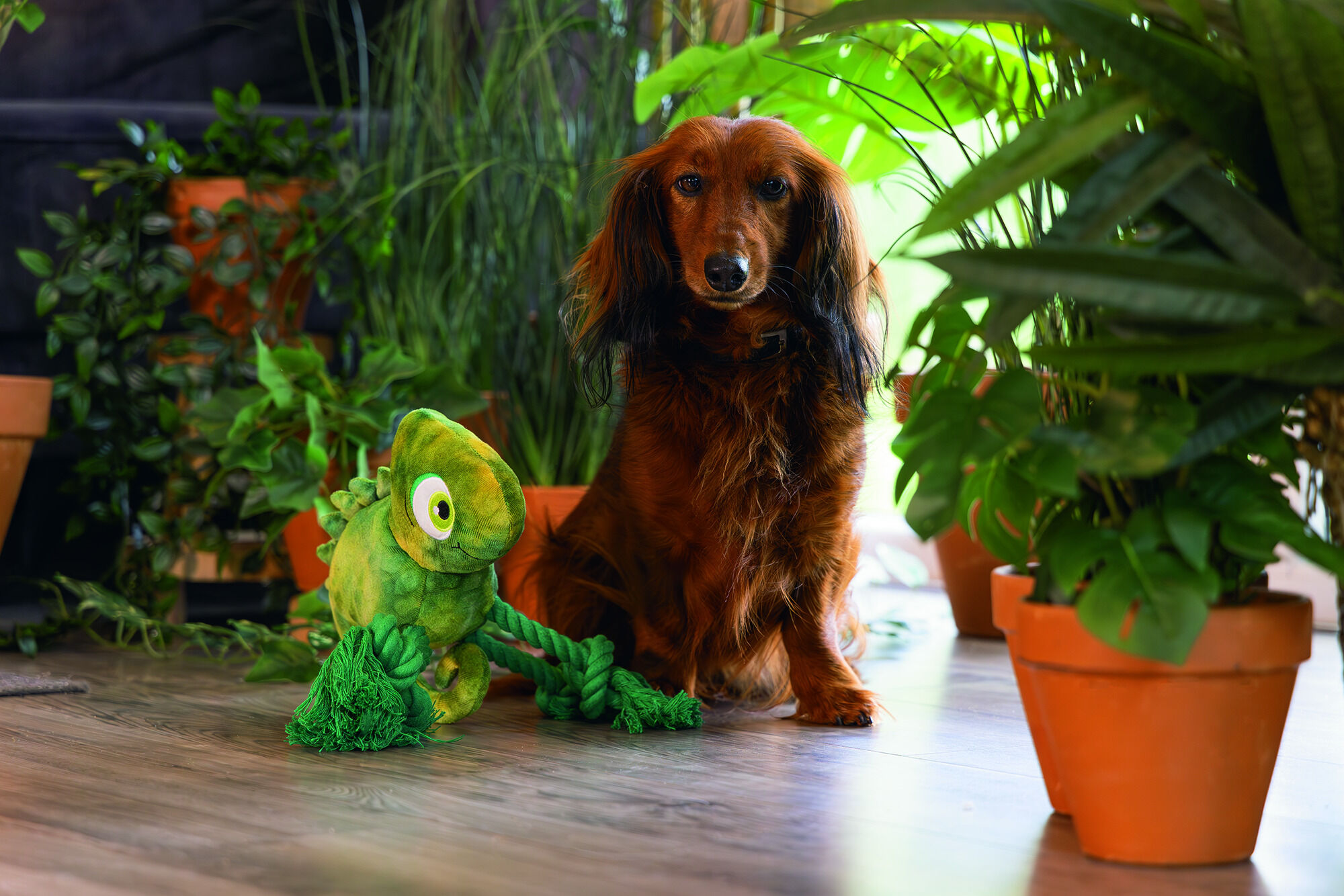 Beeztees Jungle Kodi - Pluche Knuffel - Hondenspeelgoed