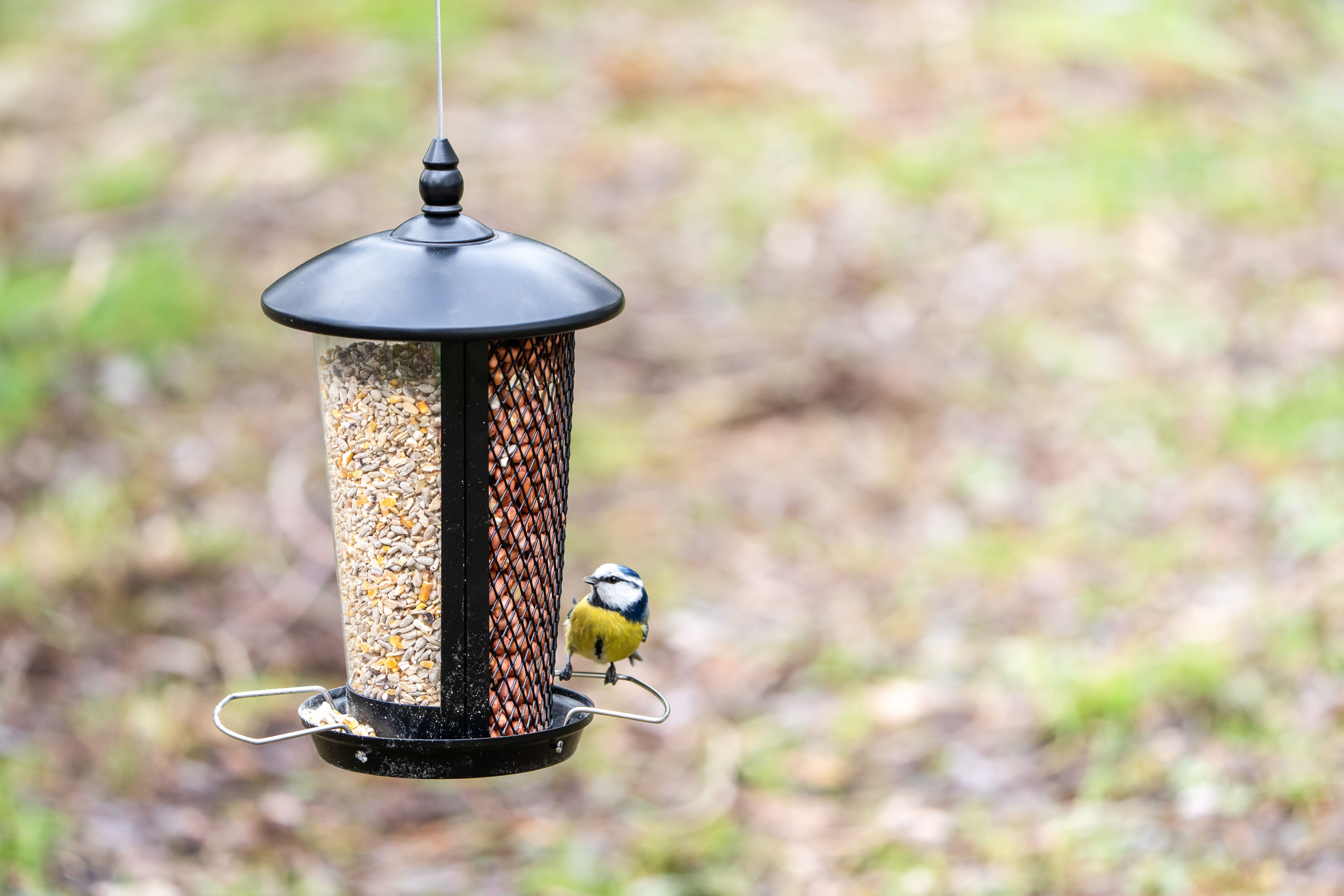 CJ Wildlife Edessa  Combi - Voederhuis Tuinvogels - 27.5x16x16 cm