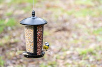 CJ Wildlife Edessa  Combi - Voederhuis Tuinvogels - 27.5x16x16 cm