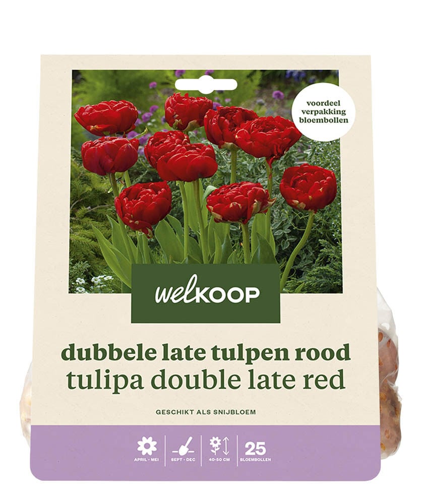 Welkoop Dubbele Tulp Charlie Mila - Bloembollen
