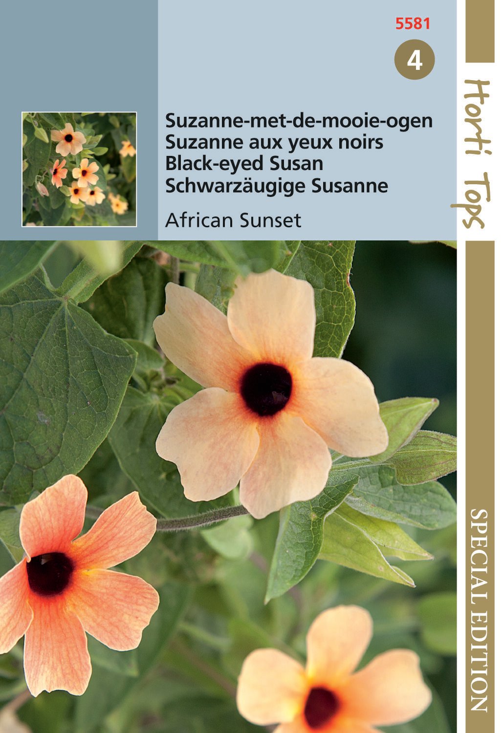 Hortitops Suzanne-met-de-mooie-ogen mix Thunbergia alata - Bloemzaden Hortitops Suzanne-met-de-mooie-ogen mix Thunbergia alata - Bloemzaden
