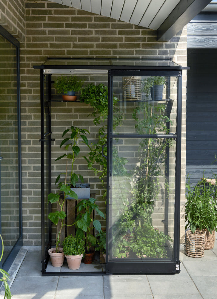 Halls Greenhouses QUBE LT 24 - Muurkas