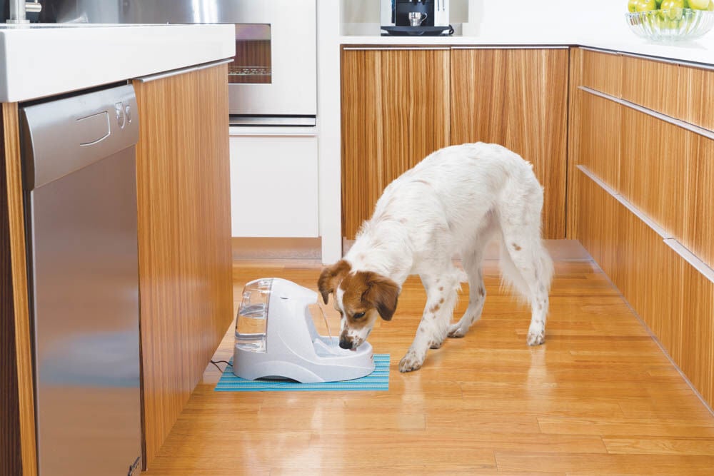 Petsafe Platinum - Drinkfontein - Multi - 40x27x27 cm