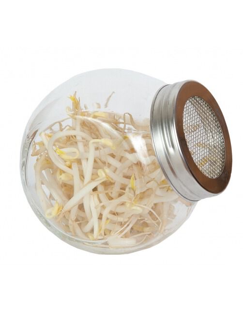 Buzzy® Organic Sprouting - Kiempot Tauge - 10 Gram