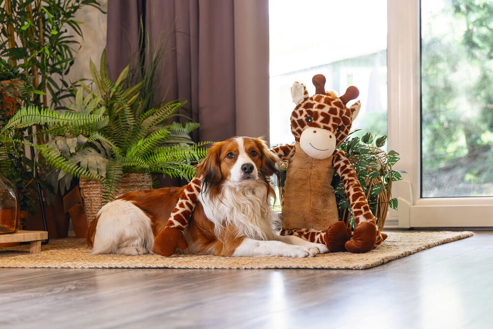 Beeztees Jungle Giraf - Knuffel - Hondenspeelgoed - Bruin - 20.5x27x85 cm