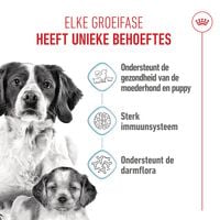 Royal Canin SHN Medium Start Babydog - Hondenvoer - 15 Kilogram - gevogelte