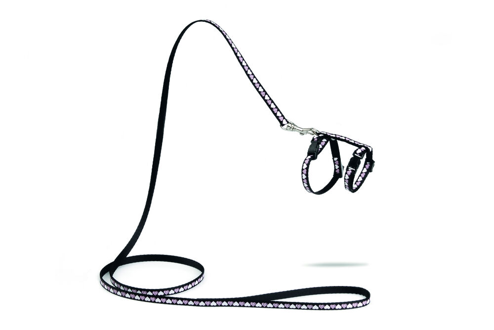 Beeztees Hearts - Kittentuigje - Zwart - 100 cm