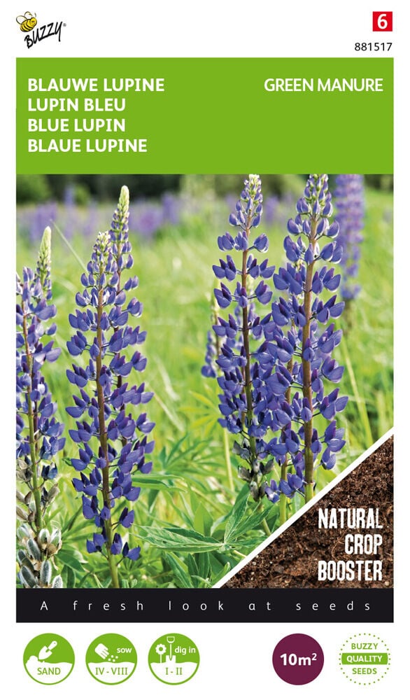 Buzzy Lupine Lupine - Groenbemester Buzzy Lupine Lupine - Groenbemester