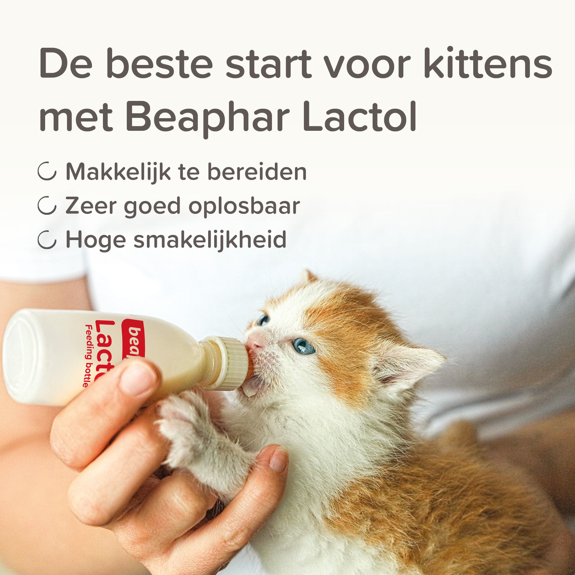Beaphar Lactol - Kitty Milk - 250 Gram