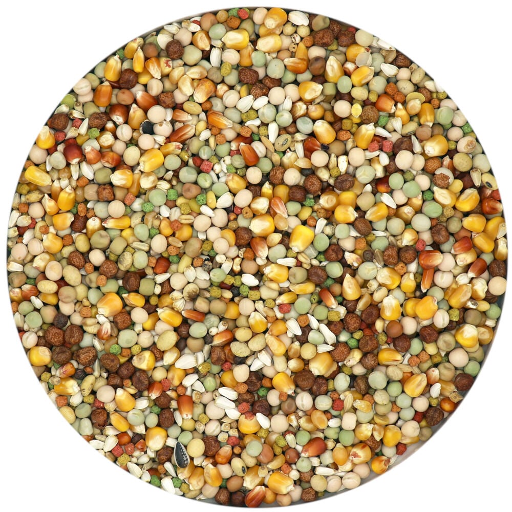Versele Laga Plus I.C. Start - Duivenvoer - 20 Kilogram