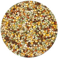 Versele Laga Plus I.C. Start - Duivenvoer - 20 Kilogram
