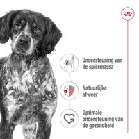 Royal Canin SHN Medium Adult - Hondenvoer - 0.41 Kilogram - gevogelte