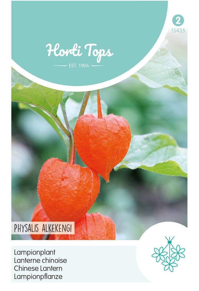 Hortitops Lampionplant - Bloemzaden Hortitops Lampionplant - Bloemzaden