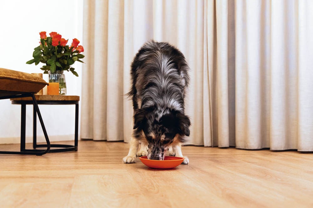 Beeztees Siliconen - Likmat - Roze