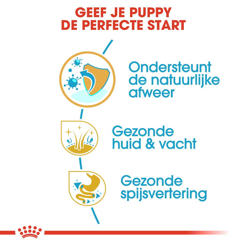Royal Canin Cocker Puppy - Hondenvoer - 3 Kilogram - gevogelte